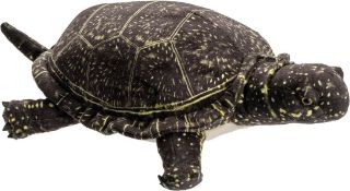 Obrázek z Želva nádherná plyš 30cm 